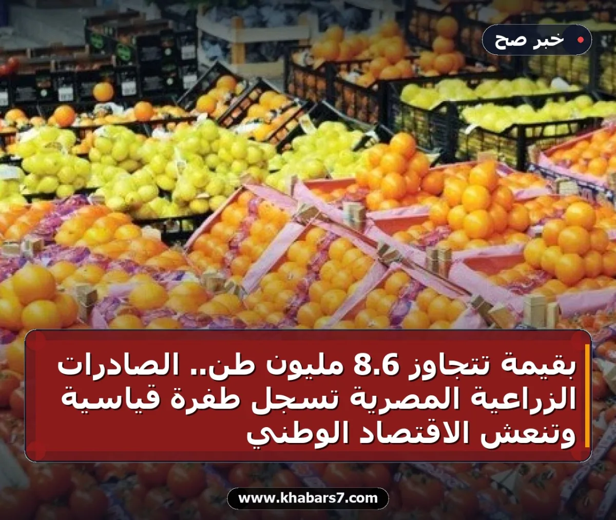 بقيمة تتجاوز 6.8 مليون طن.. الصادرات الزراعية المصرية تسجل طفرة قياسية وتنعش الاقتصاد الوطني
