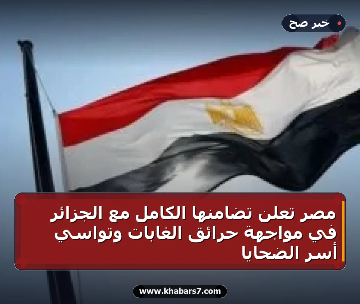 مصر تعلن تضامنها الكامل مع الجزائر في مواجهة حرائق الغابات وتواسي أسر الضحايا
