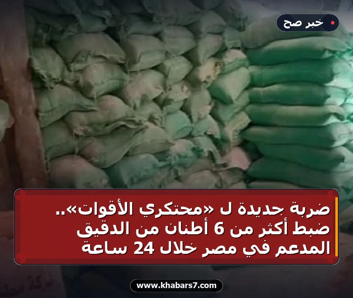 ضربة جديدة لـ «محتكري الأقوات».. ضبط أكثر من 6 أطنان من الدقيق المدعم في مصر خلال 24 ساعة