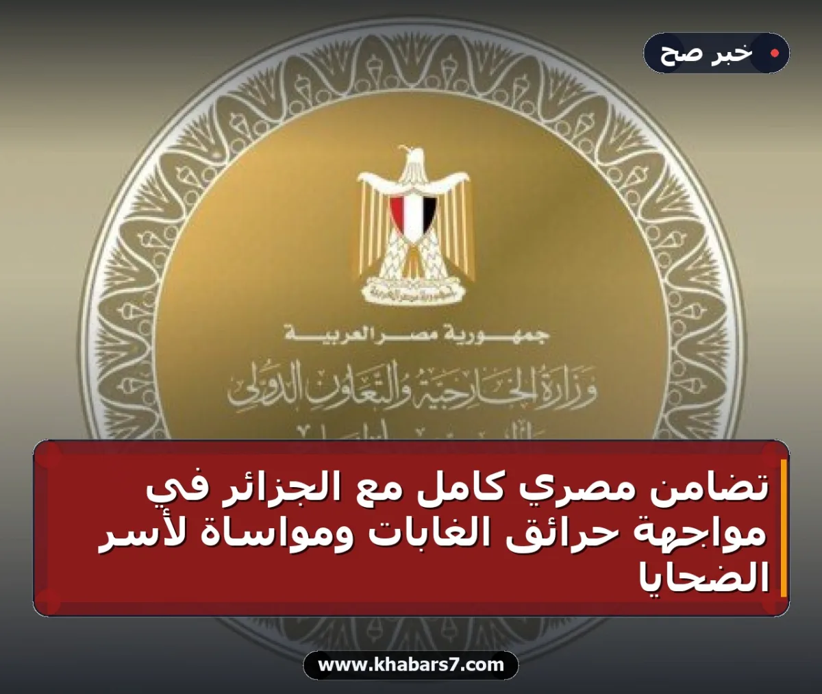 تضامن مصري كامل مع الجزائر في مواجهة حرائق الغابات ومواساة لأسر الضحايا