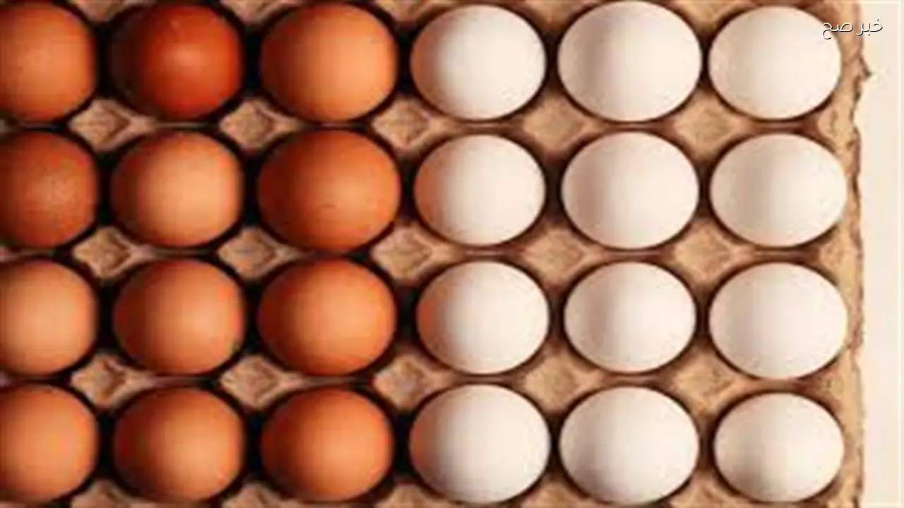 سعر كرتونة البيض اليوم الأحد في بورصة الدواجن والمحلات