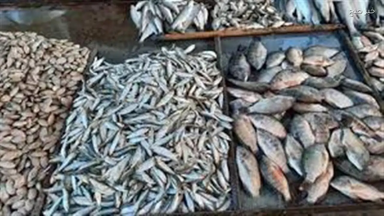 أسعار الأسماك في سوق العبور اليوم السبت 18 أبريل 2026