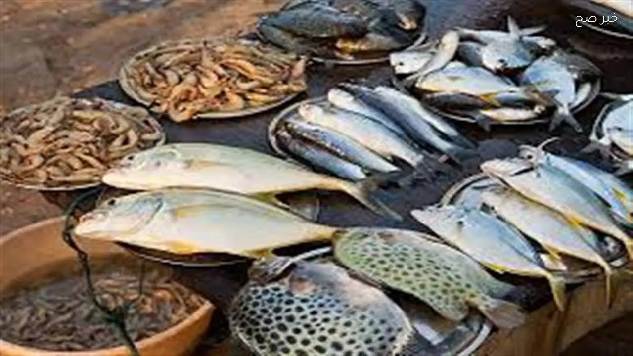 أسعار الأسماك في سوق العبور تسجل ارتفاعًا اليوم الجمعة 17 أبريل