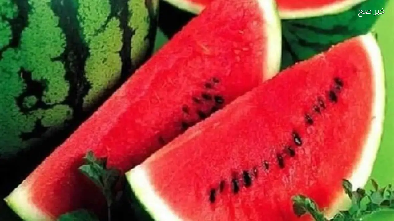 أسعار البطيخ تنخفض بنسبة 20 إلى 30% حسب نقيب الفلاحين