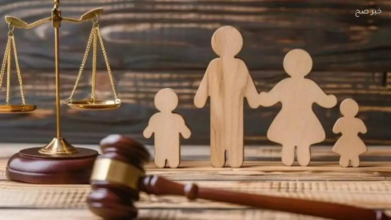 اجتماعات الأحزاب تبدأ السبت لإعداد مشروع قانون الأحوال الشخصية في مصر