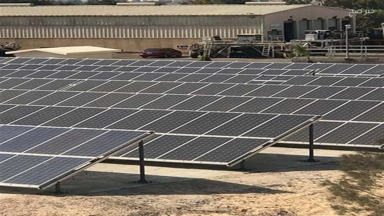 التحول الطاقوي يعيد تشكيل خريطة الصناعة العالمية ويعزز الاستثمار في مصر