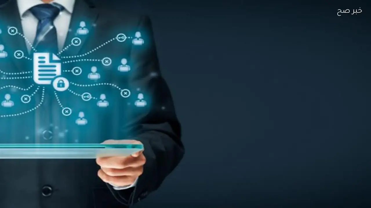 التضامن تعلن آخر موعد للتقديم لوظائف نظم المعلومات والشروط المطلوبة