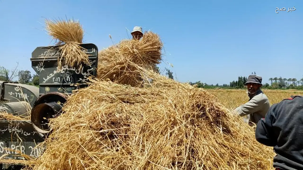 الطقس اليوم يدعم تنفيذ عمليات زراعية متعددة في مصر