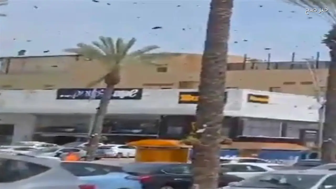 النحل يغزو مجمعًا تجاريًا ومبانٍ سكنية جنوب إسرائيل