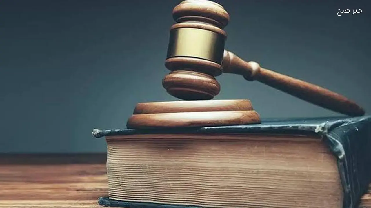 «النقض» تؤكد: القسمة الرضائية تنهي الشيوع وتبطل تصرف الشريك الزائد