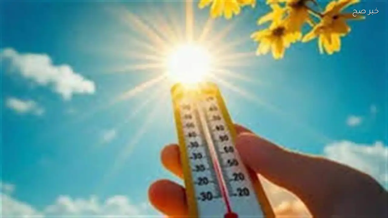 تأثير التغيرات المناخية على سلوك الحشرات في مصر