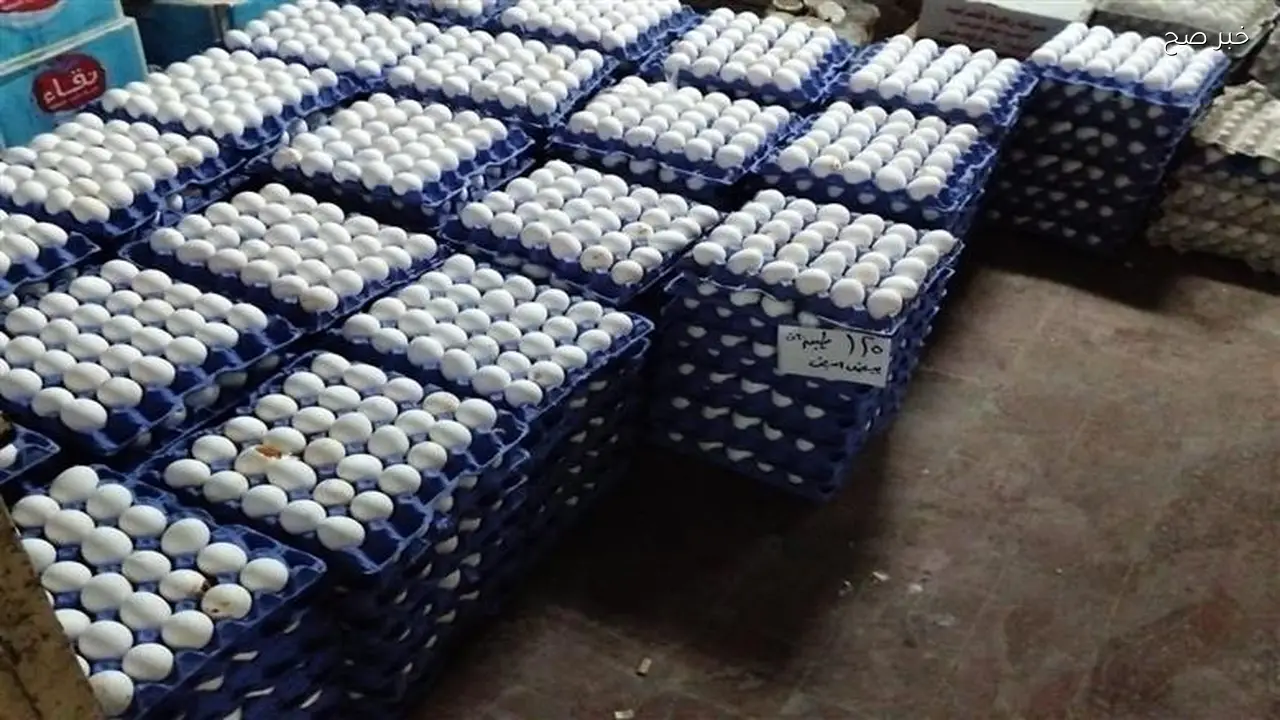 تراجع أسعار البيض والدواجن في الأسواق بعد انخفاض الأعلاف 30%