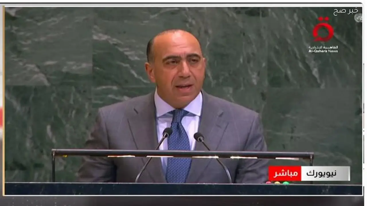 جهود مصر بالأمم المتحدة تمنع انزلاق المنطقة في الحرب