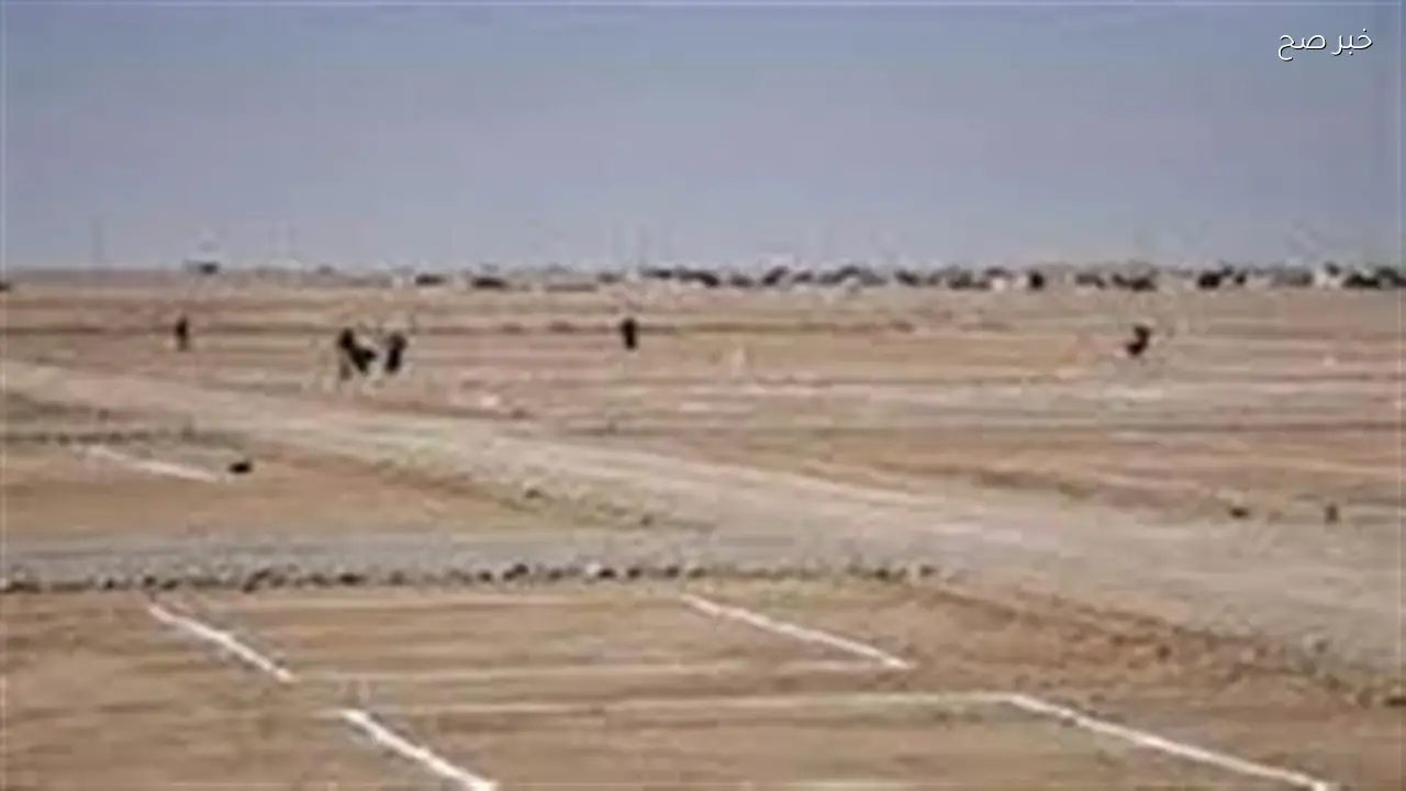 حجز أراضي «بيت الوطن 11» للمصريين بالخارج يبدأ قريبًا