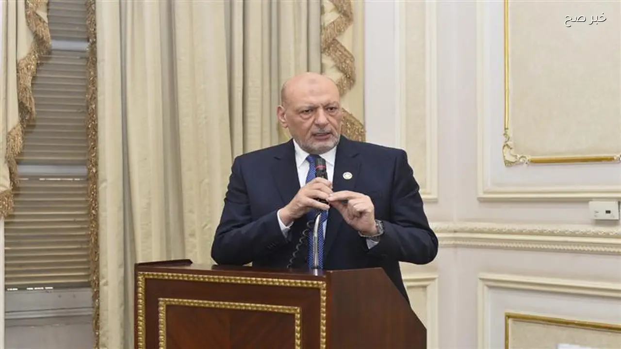 حملة «الوطن» لترشيد الطاقة نموذج للإعلام المسؤول حسب رئيس حزب المصريين