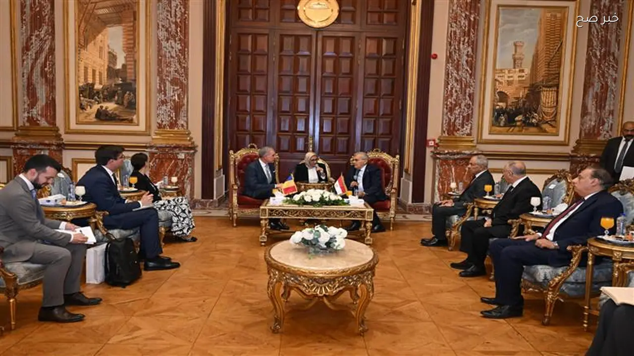 رئيس الشيوخ يبحث تعزيز العلاقات الثنائية مع وفد رومانيا