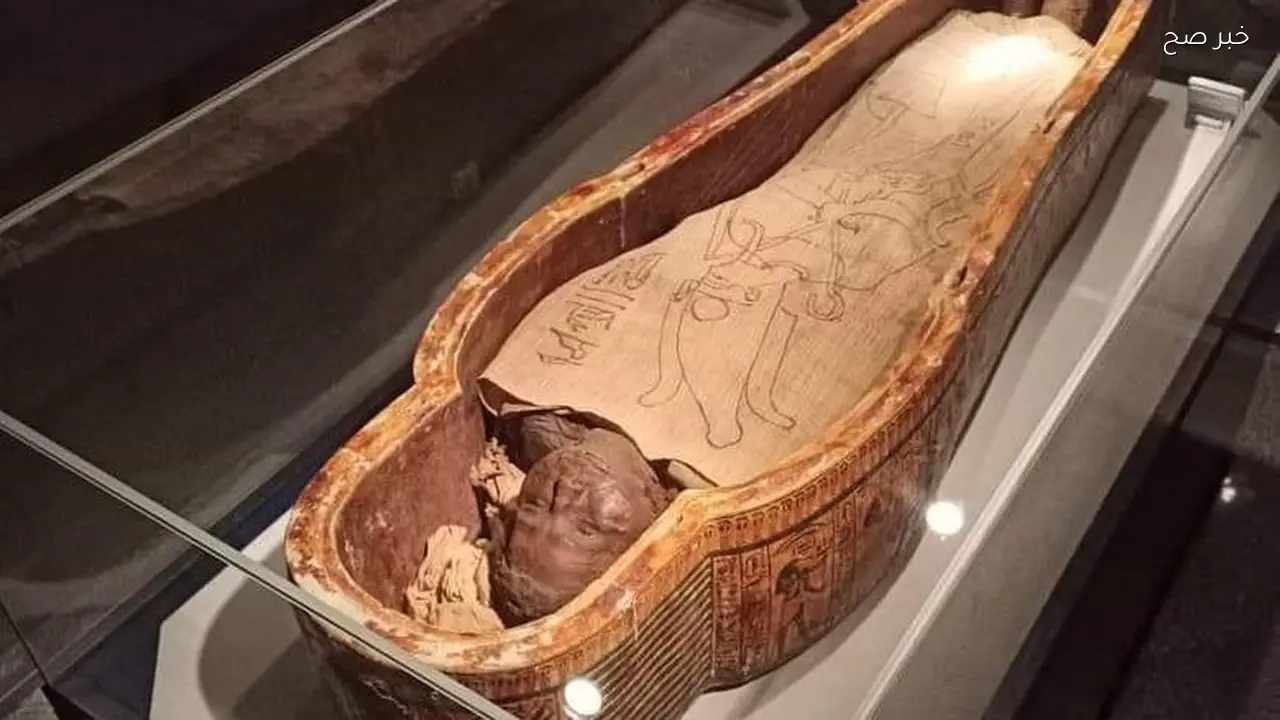 زيارات المتاحف والمناطق الأثرية في أبريل تسجل أداءً جيدًا