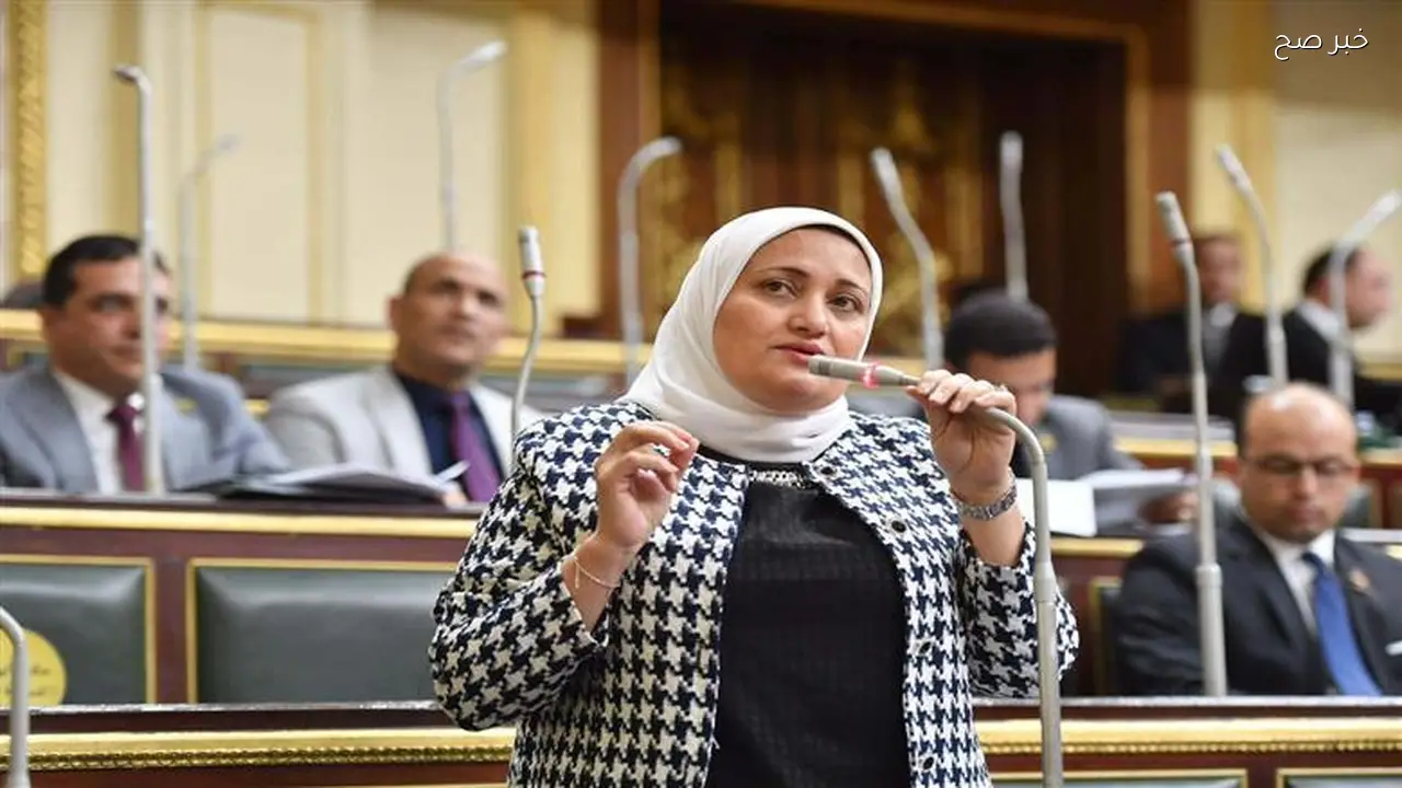 سؤال برلماني لوزير الكهرباء بشأن تطبيق العدادات الكودية بأثر رجعي