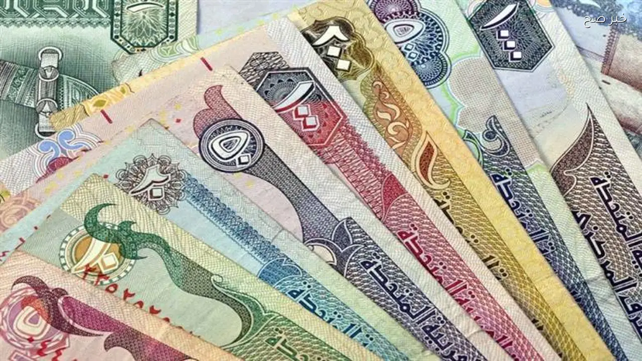 سعر الدرهم الإماراتي مقابل الجنيه المصري اليوم الأحد 19 أبريل 2026