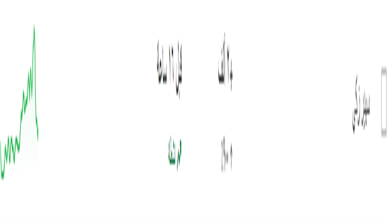 سهير زكي