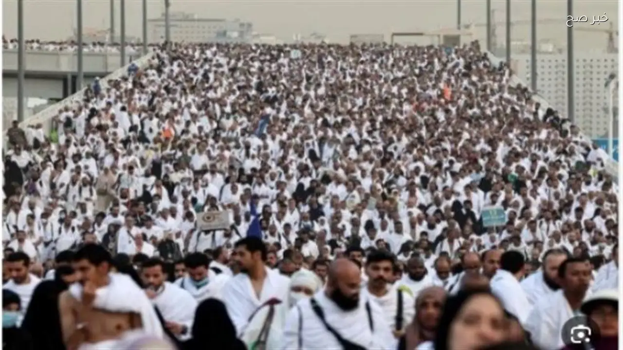 غرفة السياحة تستهدف تقديم تجربة حج متميزة وآمنة للحجاج المصريين