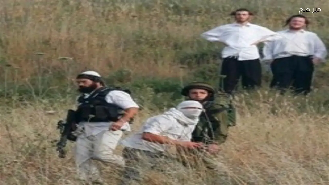 مستوطنون يهاجمون بدو عرب المليحات شمال أريحا