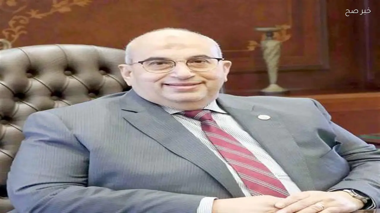 مصر تحقق فائضًا وتغطي مصروفاتها وفقًا لأمين سر «اقتصادية الشيوخ»