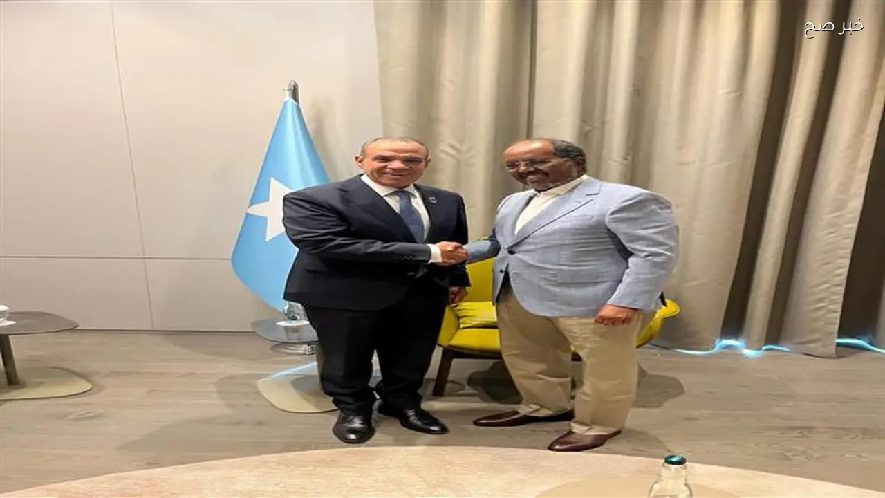 وزير الخارجية يؤكد رفض محاولات المساس بسيادة الصومال ومؤسساته الوطنية