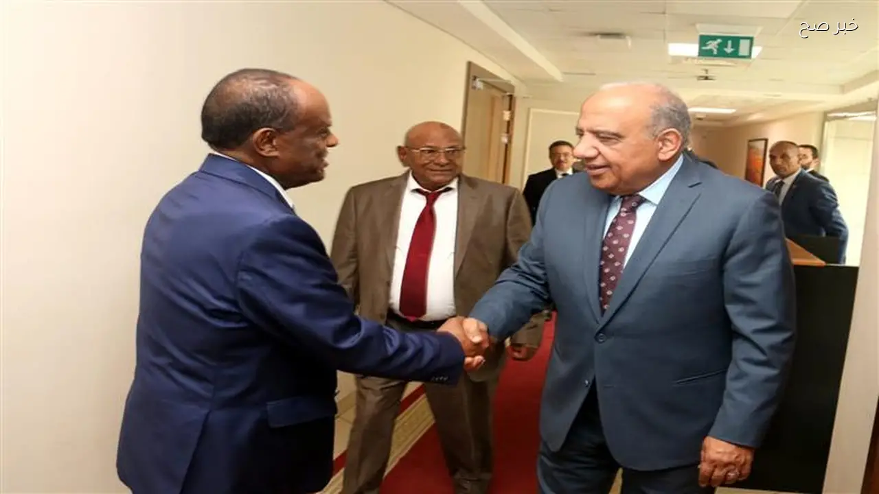 وزير الكهرباء يعلن دعم خطة التنمية المستدامة في إريتريا وتدريب الكوادر