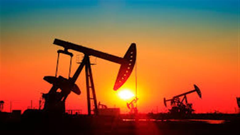 oil