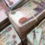 فرص استثمارية متنوعة بـ400 ألف جنيه لبناء دخل مستدام