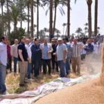 جامعة القاهرة تعزز التعليم والإنتاج من خلال محطة التجارب الزراعية