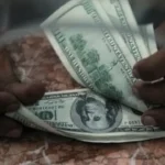 استقرار سعر الدولار أمام الجنيه المصري في تعاملات اليوم