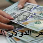 استقرار سعر الدولار أمام الجنيه المصري اليوم 6 ديسمبر 2023