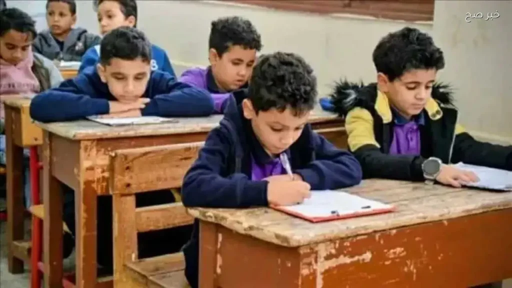 نتائج التعليم الأساسي بالقاهرة 2026 متاحة الآن بالرقم القومي