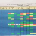 نتيجة الصف الخامس الابتدائي 2026 في الجيزة متاحة الآن عبر الموقع الرسمي