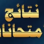 نتيجة صفوف النقل بالقاهرة 2026 متاحة الآن بالرقم القومي