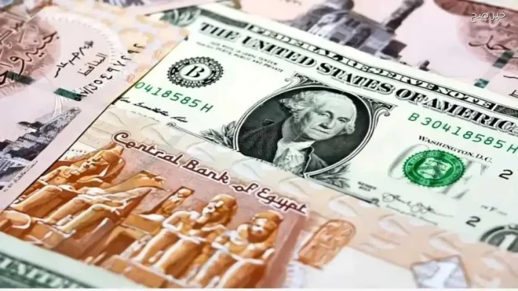 استقرار سعر الدولار أمام الجنيه المصري في 25 مايو 2026
