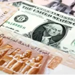 استقرار سعر الدولار أمام الجنيه المصري في 25 مايو 2026