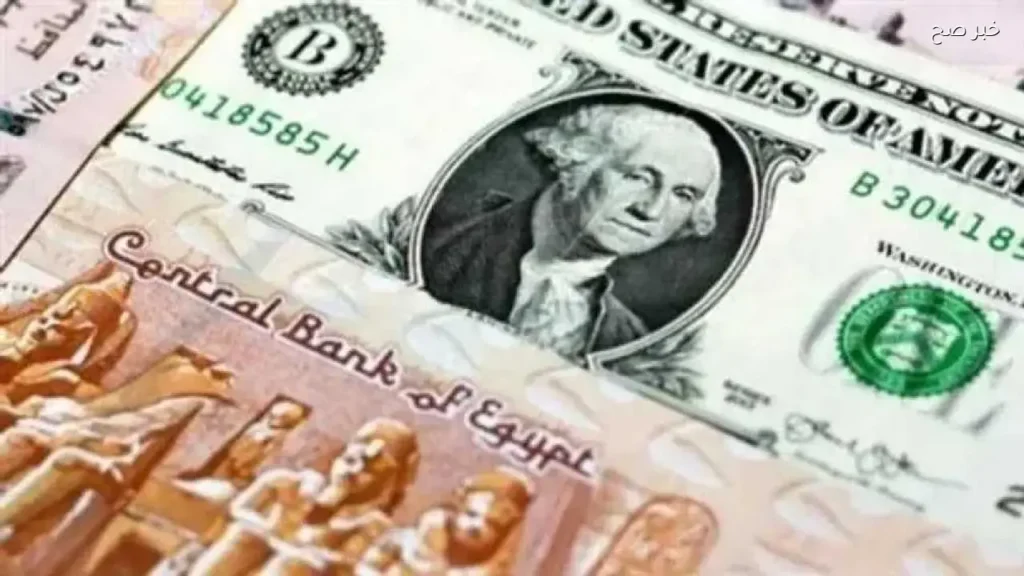 استقرار سعر الدولار مقابل الجنيه المصري اليوم 25 مايو 2026 بعد تثبيت الفائدة