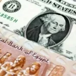 استقرار سعر الدولار مقابل الجنيه المصري اليوم 25 مايو 2026 بعد تثبيت الفائدة
