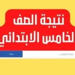نتيجة الصف الخامس الابتدائي 2026 متاحة إلكترونيًا في القاهرة