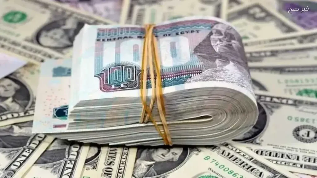 استقرار سعر الدولار مقابل الجنيه المصري اليوم 25 مايو 2026 في البنوك