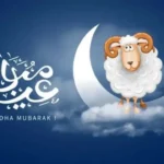تردد قنوات تكبيرات عيد الأضحى 2026 لمتابعة أجواء العيد من الحرم المكي