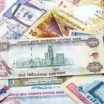 أسعار العملات الأجنبية مقابل الجنيه المصري اليوم 25 مايو 2026
