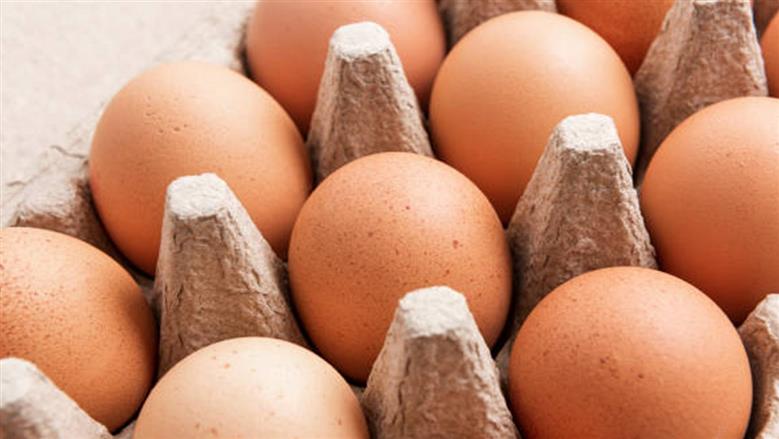 اسعار البيض