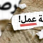 مديرية العمل بالإسماعيلية توفر 100 وظيفة في مجال الخياطة
