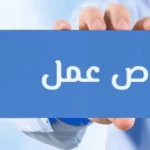 300 فرصة عمل جديدة في الإسماعيلية بمهنة عامل إنتاج