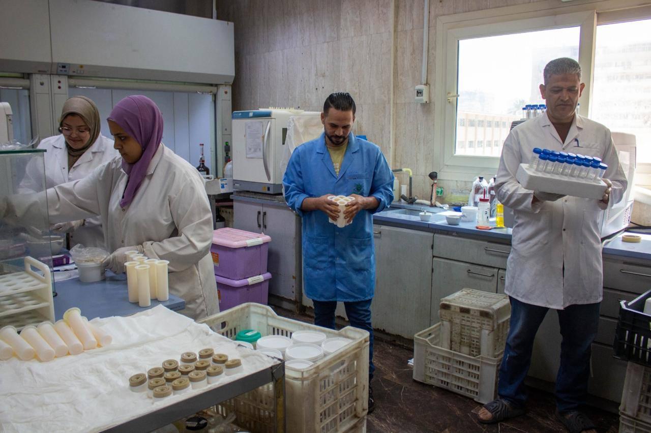 فحص أكثر من 2500 عينة غذائية