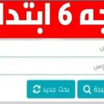 بالرقم القومي.. نتيجة الصف السادس الابتدائي 2026 الترم الثاني في جميع المحافظات “فور ظهورها”